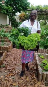 Produção da horta social, cultivada e colhida por Lia Maria